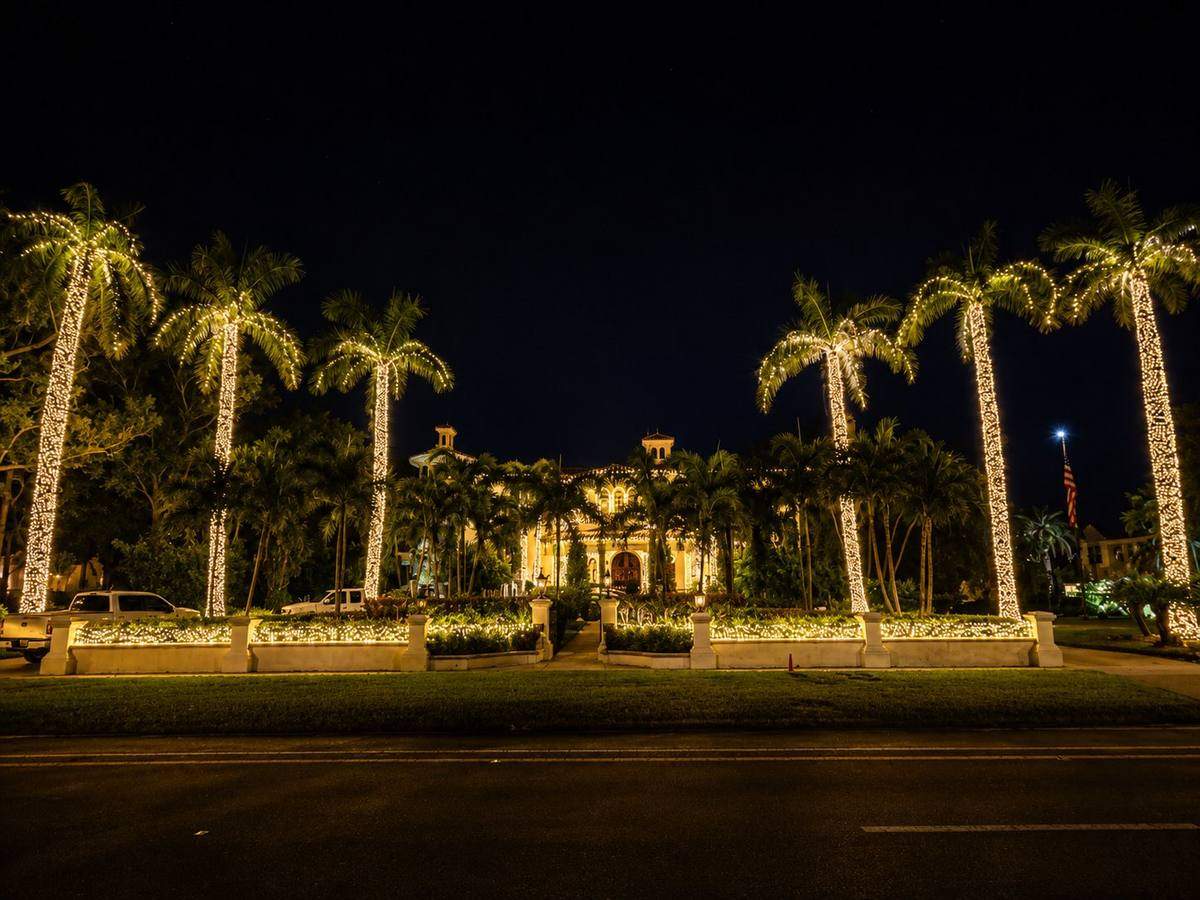 Row of royal palm trees wrapped in warm white lights lining a Tampa estate