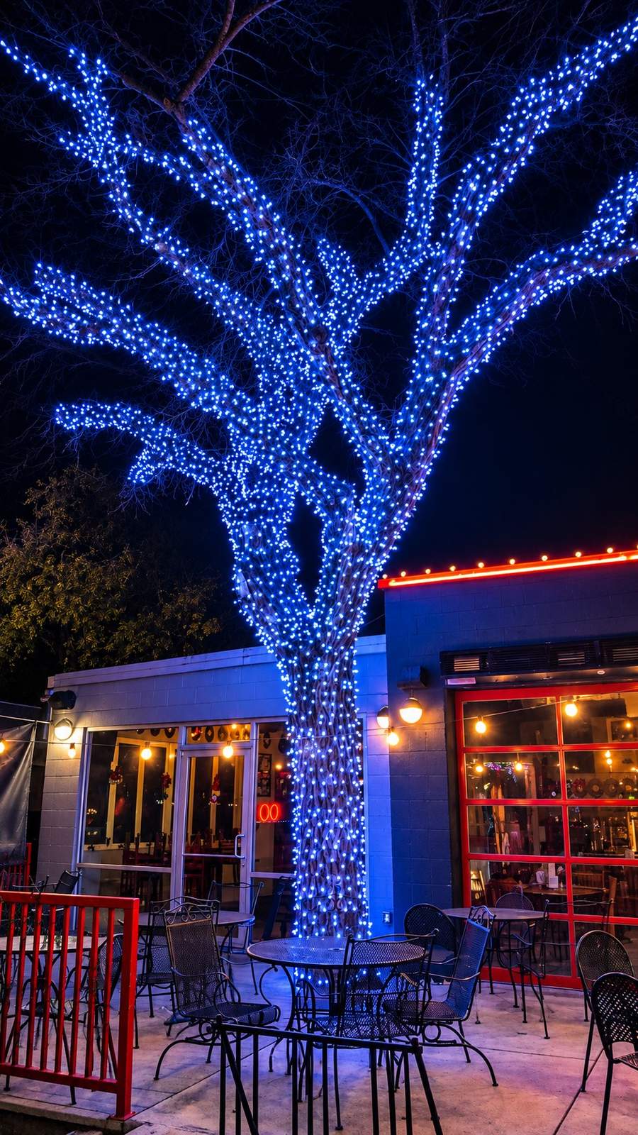 Restaurant patio tree wrapped in blue lights